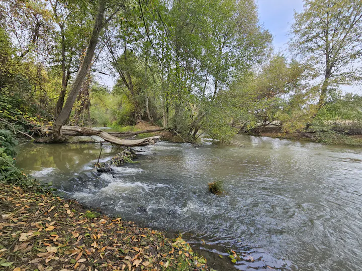 Russian River, November 2, 2023 by E. Salomone