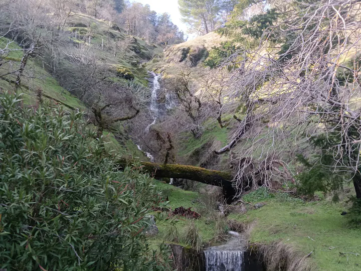 Russian River tributary on December 24, 2025, by E Salomone