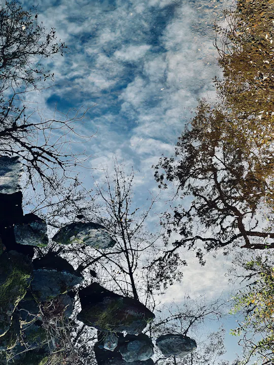 Orr's Creek, November17, 2024 by CJ Watt