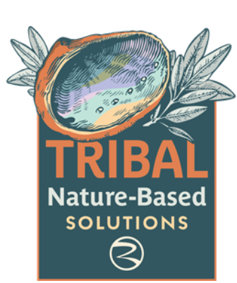 A logo featuring an avocado, leaves, and the text "TRIBAL Nature-Based Solutions."