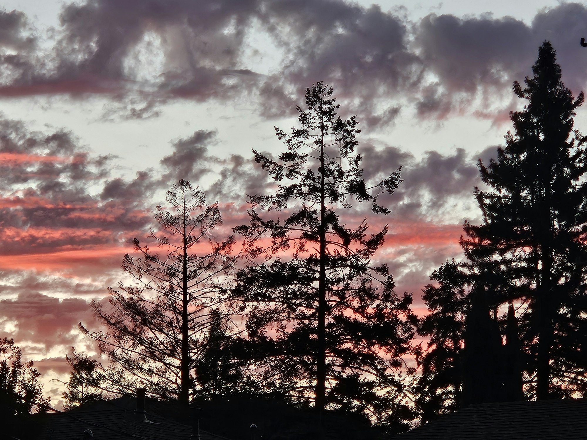 Ukiah sunset, June 2024 by E Salomone