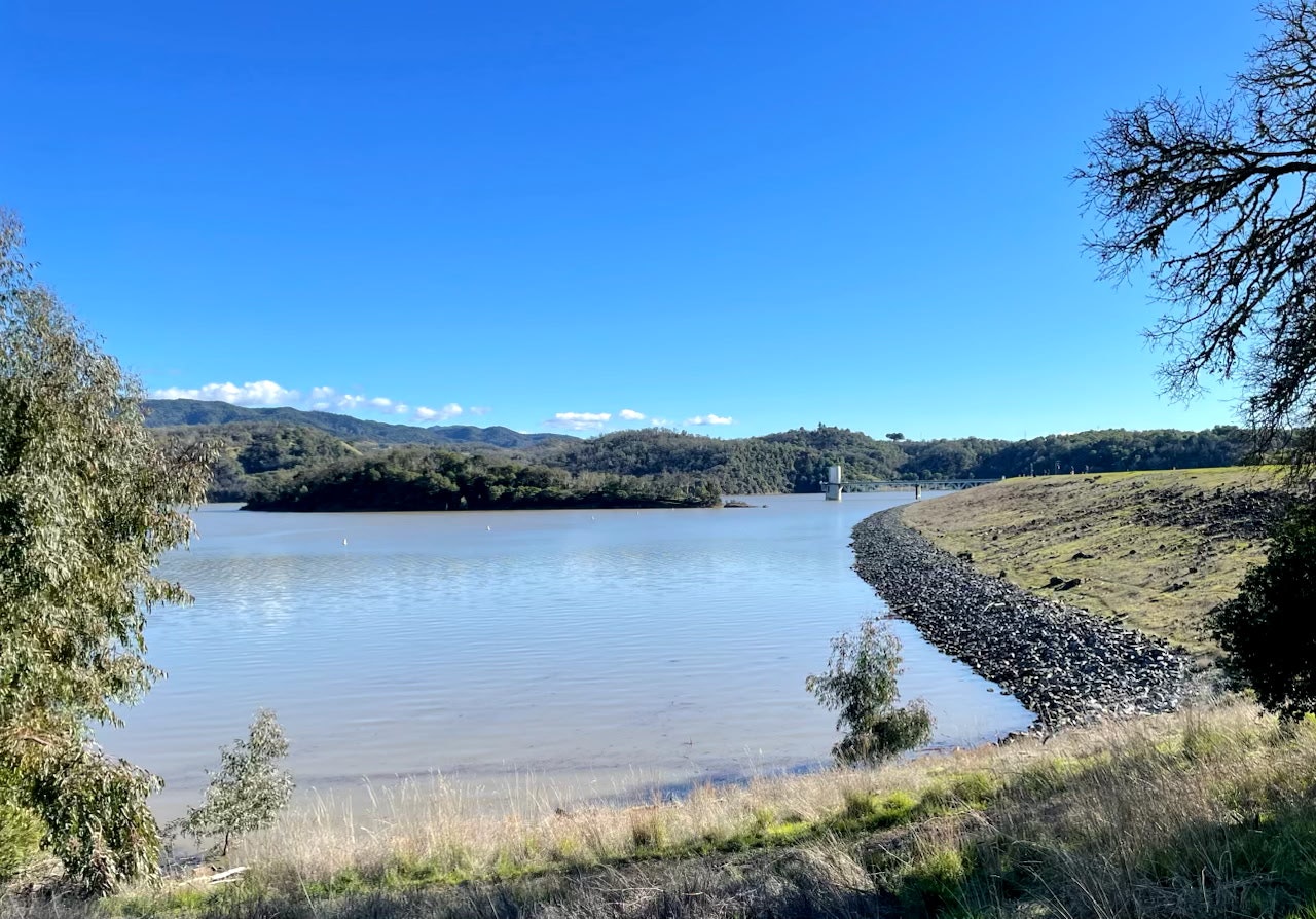 Lake Mendocino & Coyote Valley Dam 2-28-2025, by D. Edelman