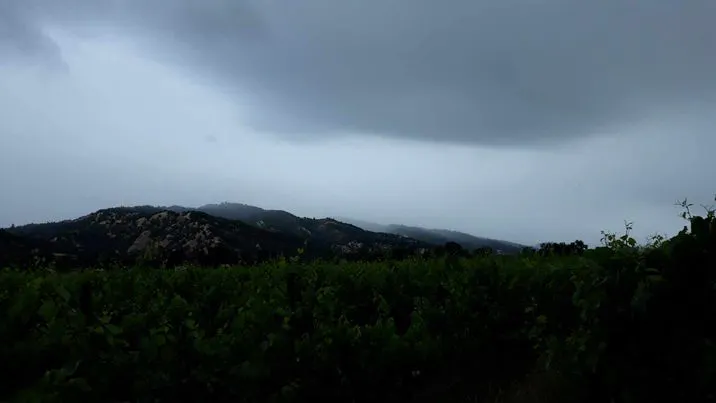 Ukiah Valley on grey morning. June, 3 2024 by E Salomone