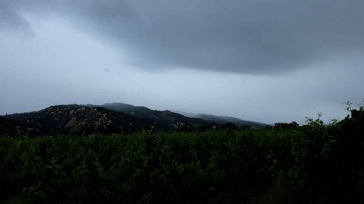 Ukiah Valley on grey morning. June, 3 2024 by E Salomone