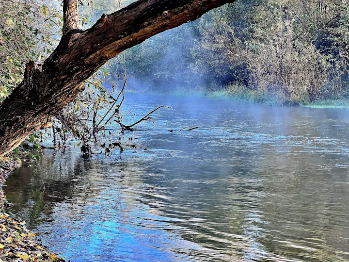 Russian River in Ukiah Valley, November 19, 2023 by CJ Watt