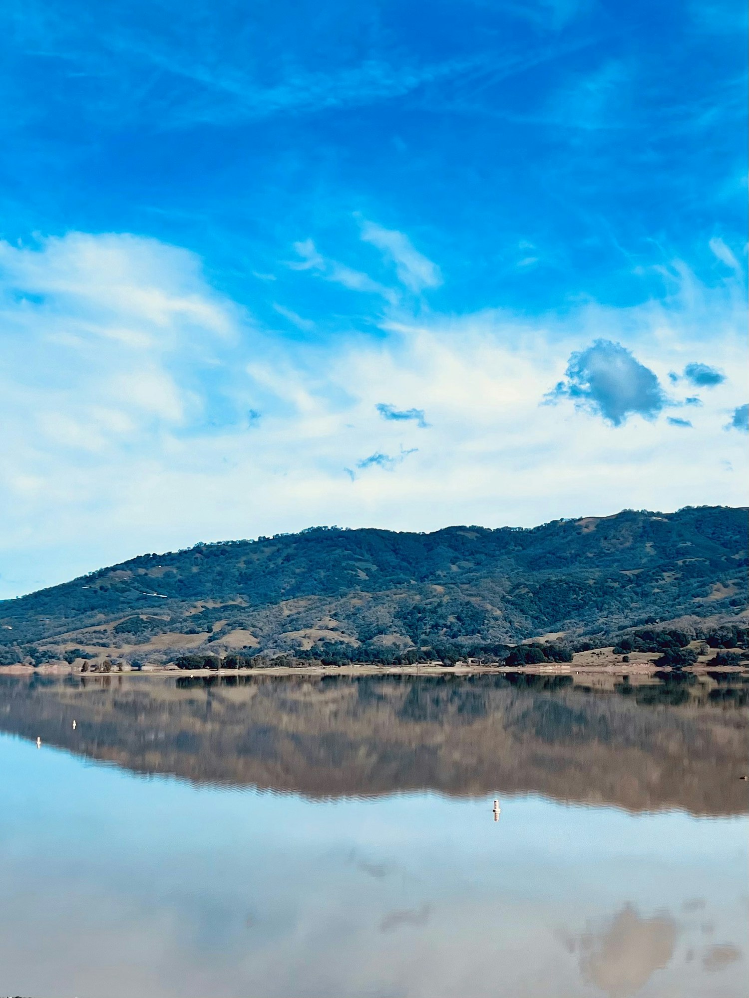 Lake Mendocino on February 19, 2024 by CJ Watt