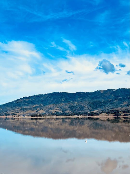 Lake Mendocino on February 19, 2024 by CJ Watt