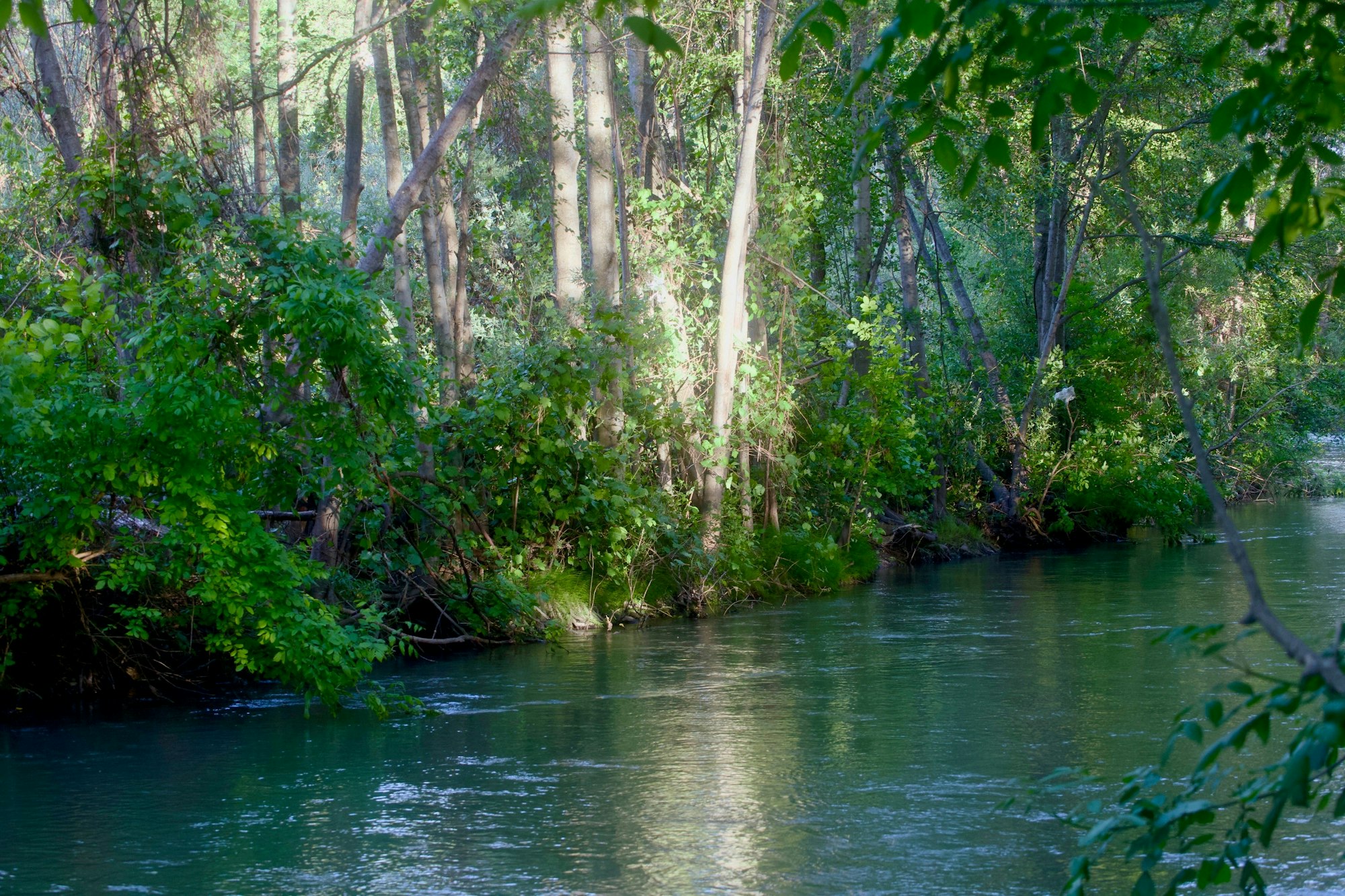 Russian River at Riverside Park May 6, 2024 by CJ Watt