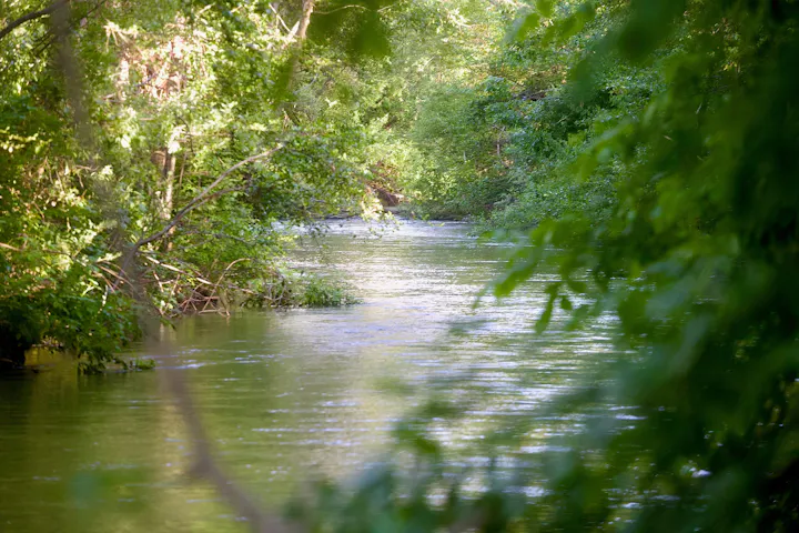 May 6, 2024 Russian River at Riverside Park by CJ Watt