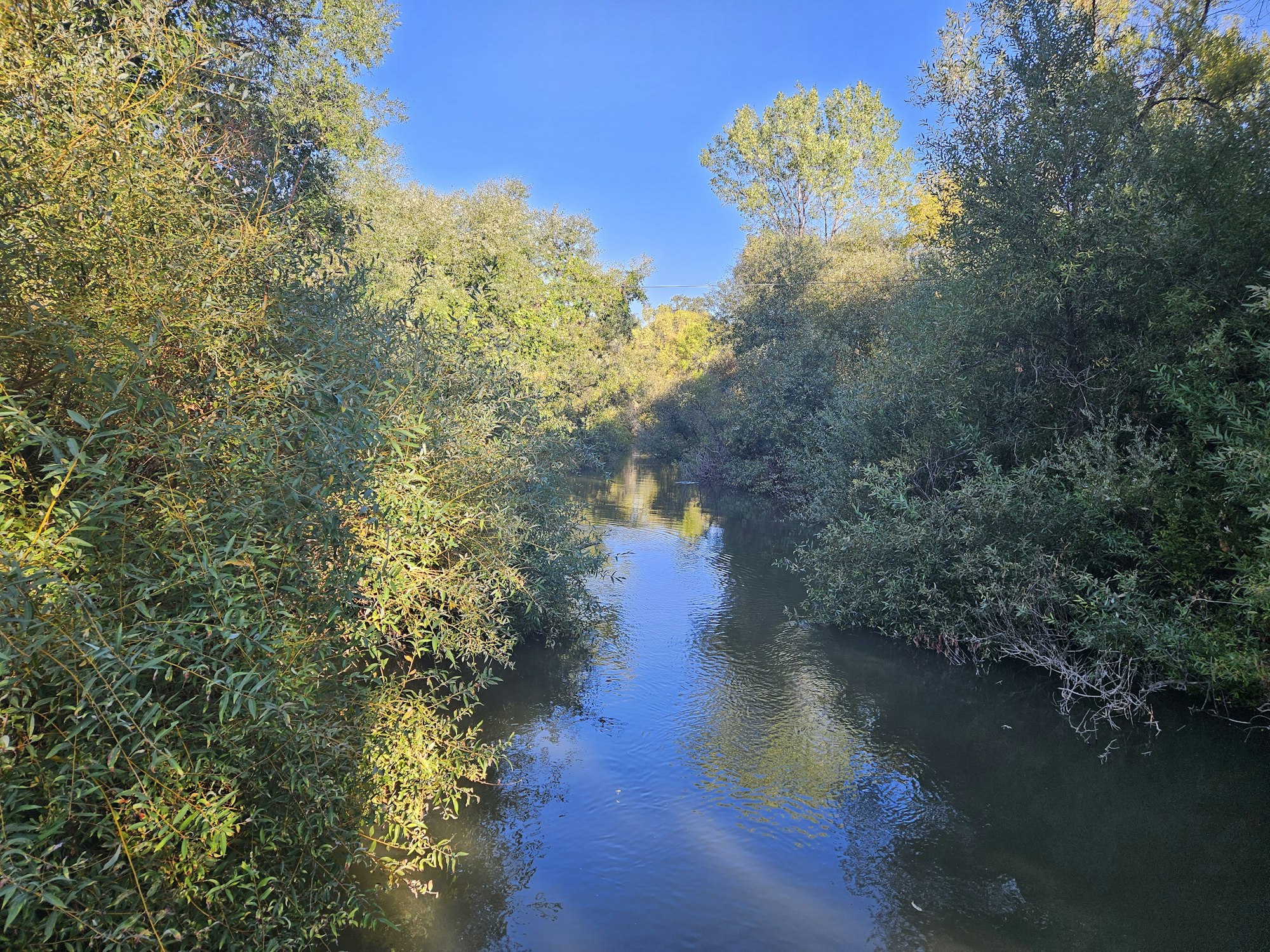 Russian River, October 2024, E Salomone