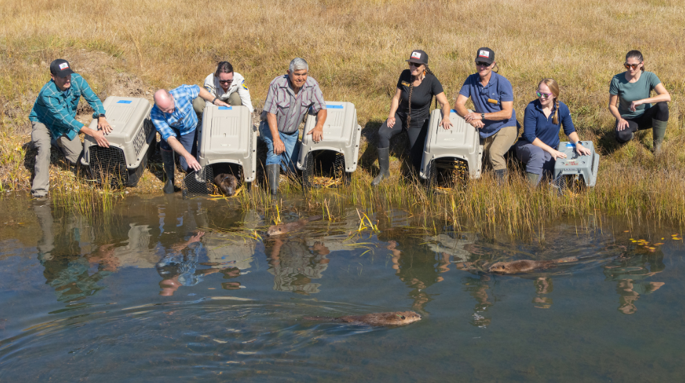 May contain: land, nature, outdoors, adult, female, person, woman, male, man, pond, water, wristwatch, and swamp