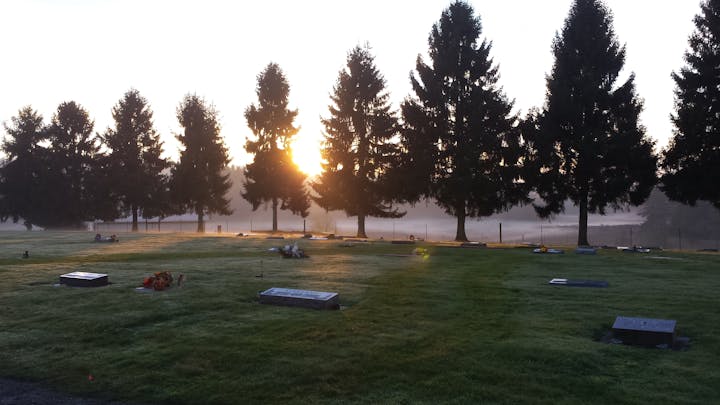 May contain: grass, plant, tree, fir, abies, outdoors, lawn, and park