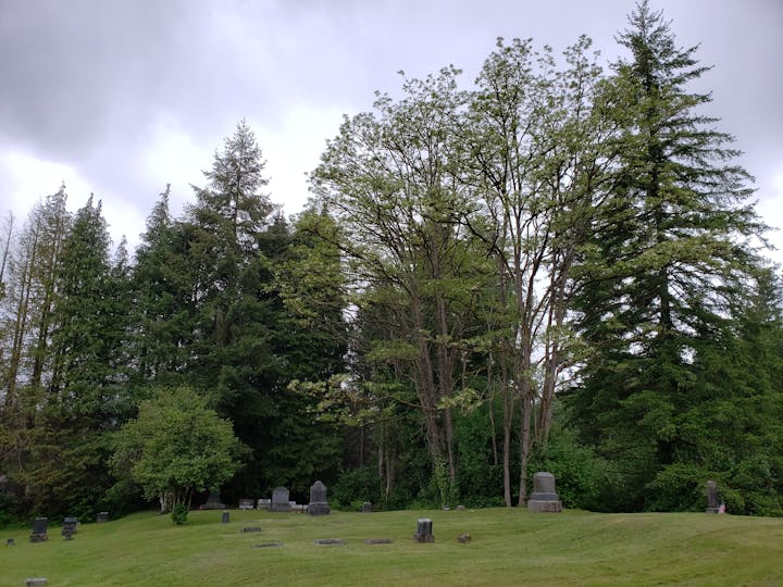 Photo of Cedar Hill Cemetery in Spring time with trees in background