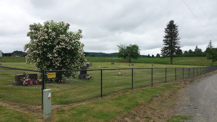 May contain: outdoors, nature, field, grassland, plant, grass, countryside, and tree