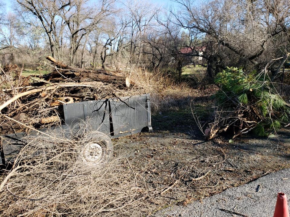 wooded area with trailer full of branches
