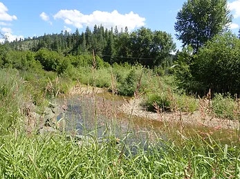 creek