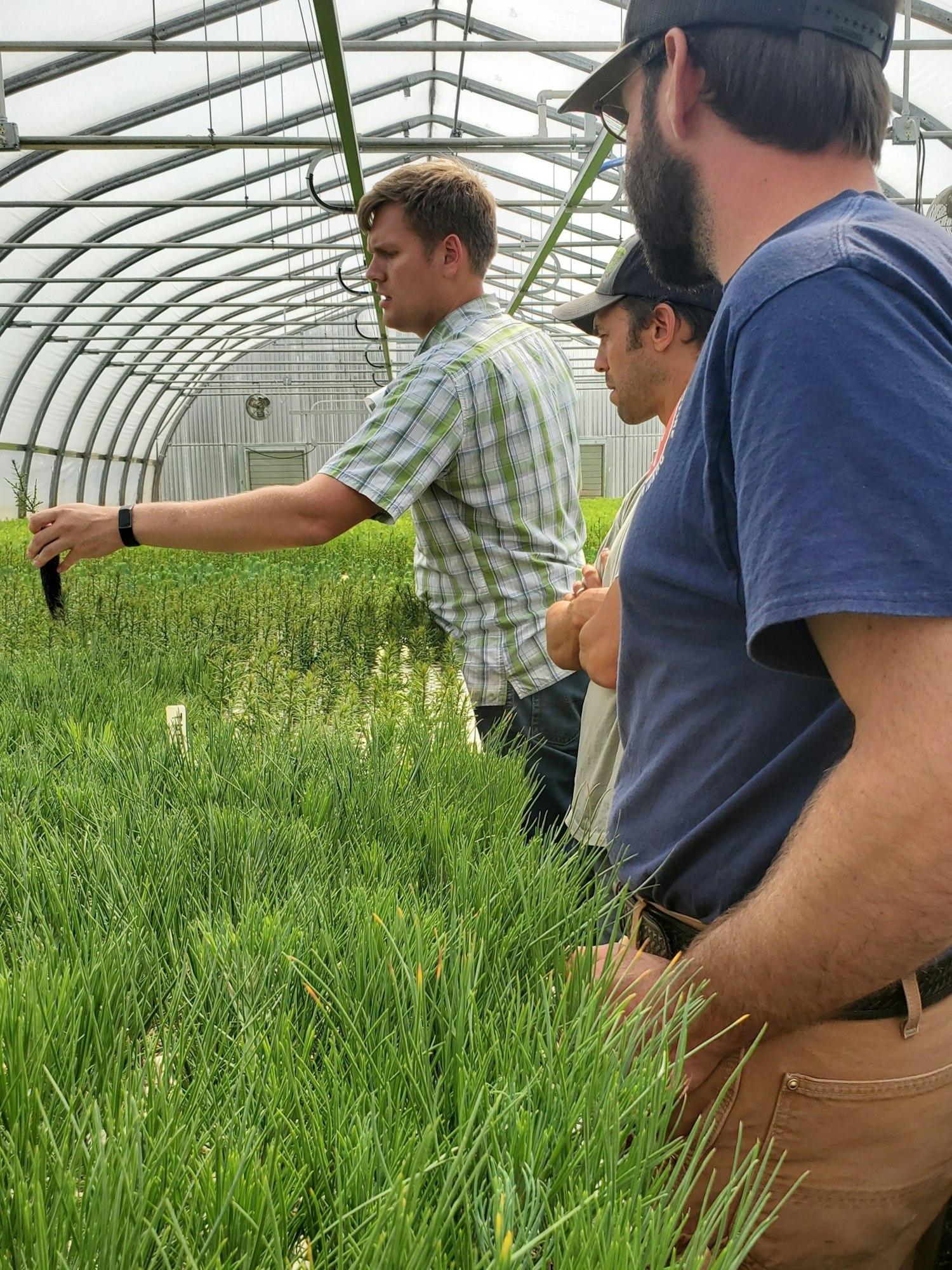 Three people examining plants in a greenhouse.
