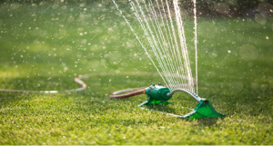 sprinkler, watering grass