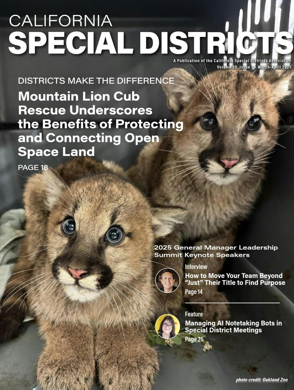 Magazine cover with mountain lion cubs, featuring articles on open space protection, leadership, and AI notetaking.