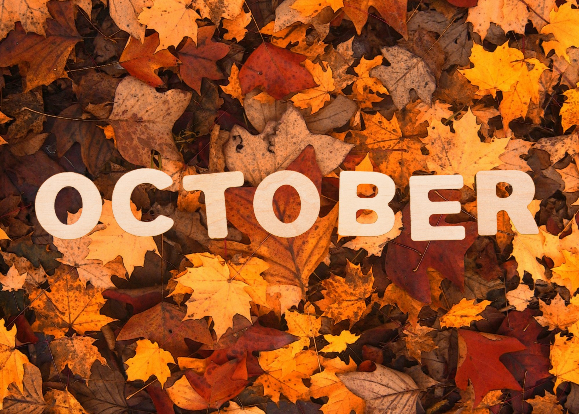 "October" spelled out in wooden letters on a colorful bed of autumn leaves.