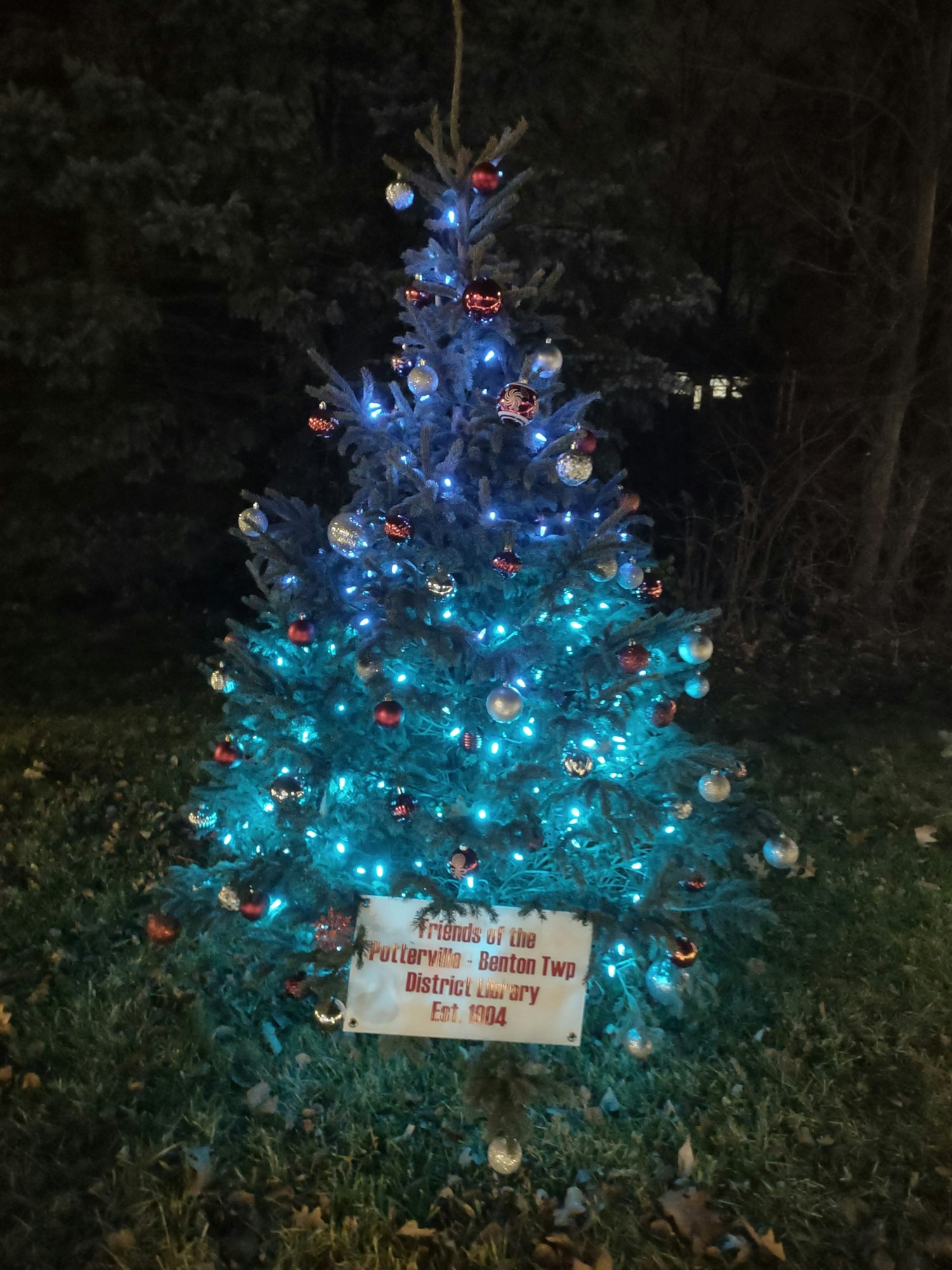May contain: christmas, christmas decorations, festival, christmas tree, plant, and tree