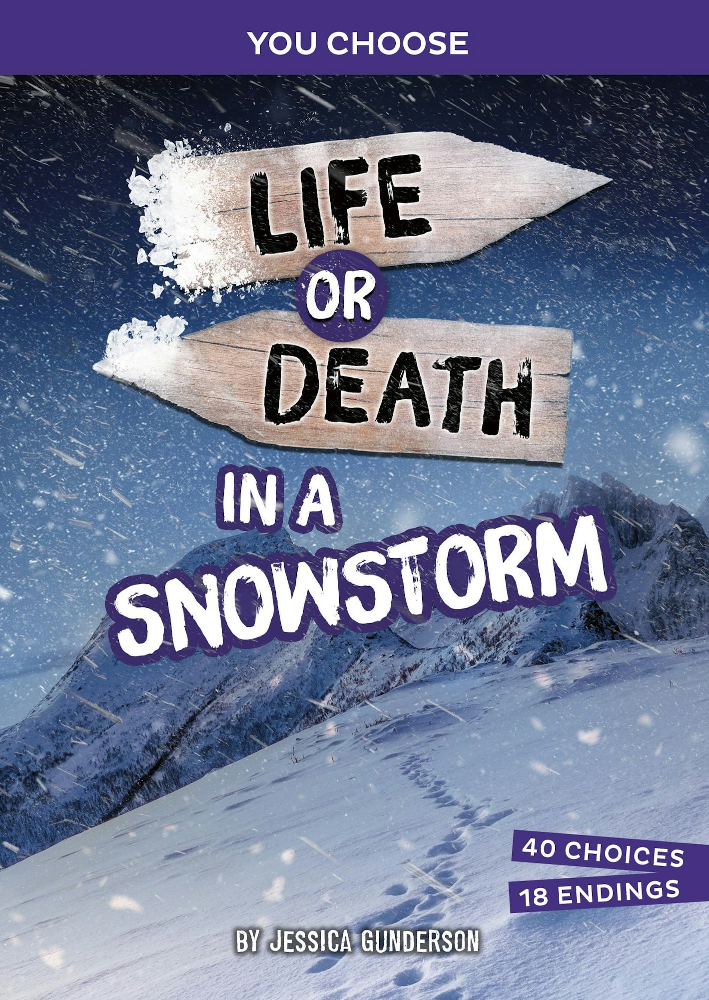 Book cover: "Life or Death in a Snowstorm" by Jessica Gunderson, featuring snowy mountains, 40 choices, 18 endings.