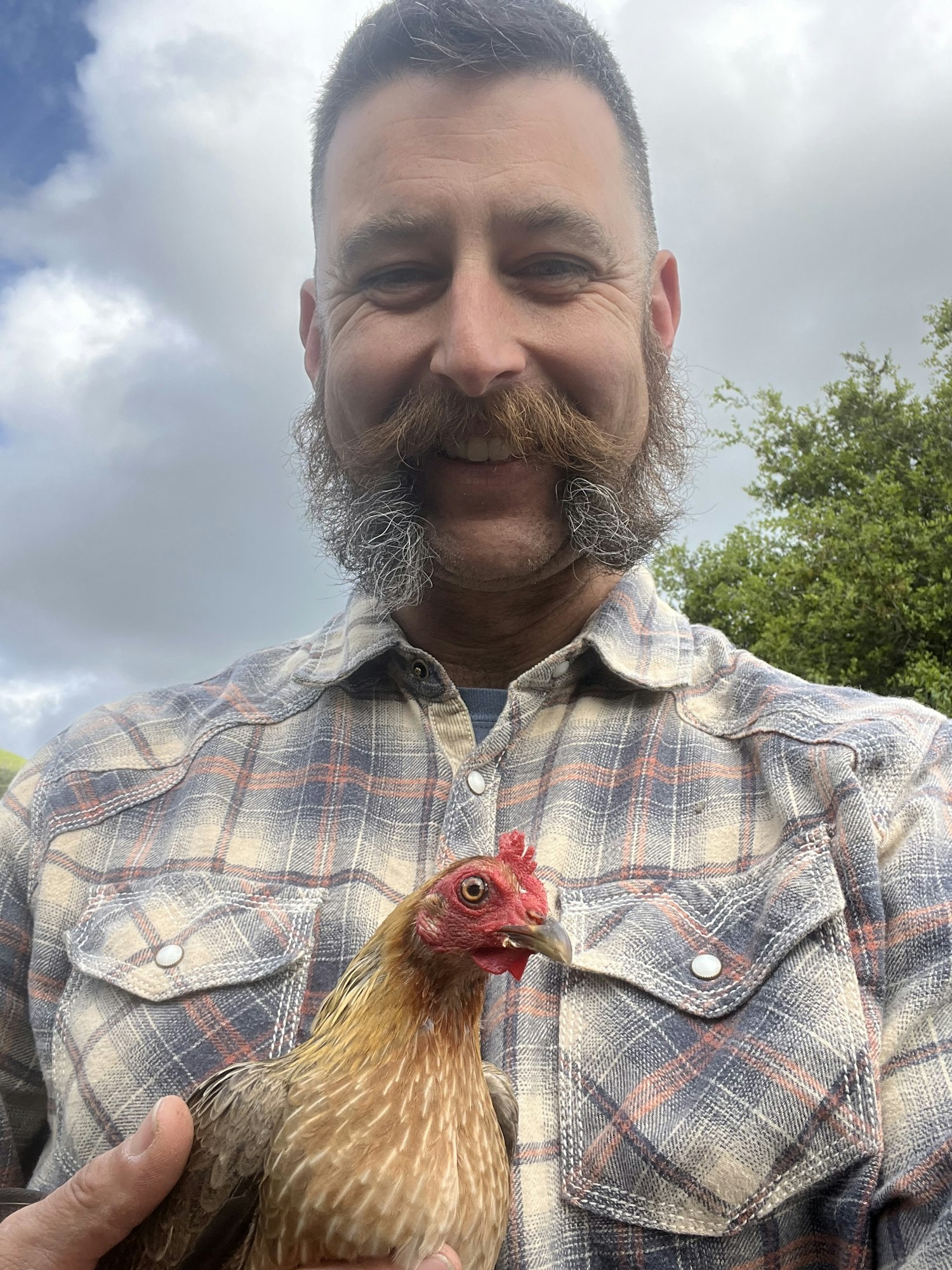 A person with a mustache holding a chicken, wearing a plaid shirt, outdoors with a cloudy sky.
