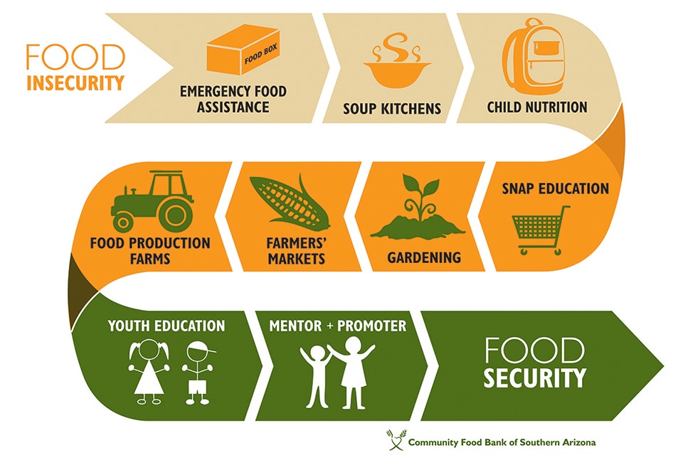 Infographic of food security chain