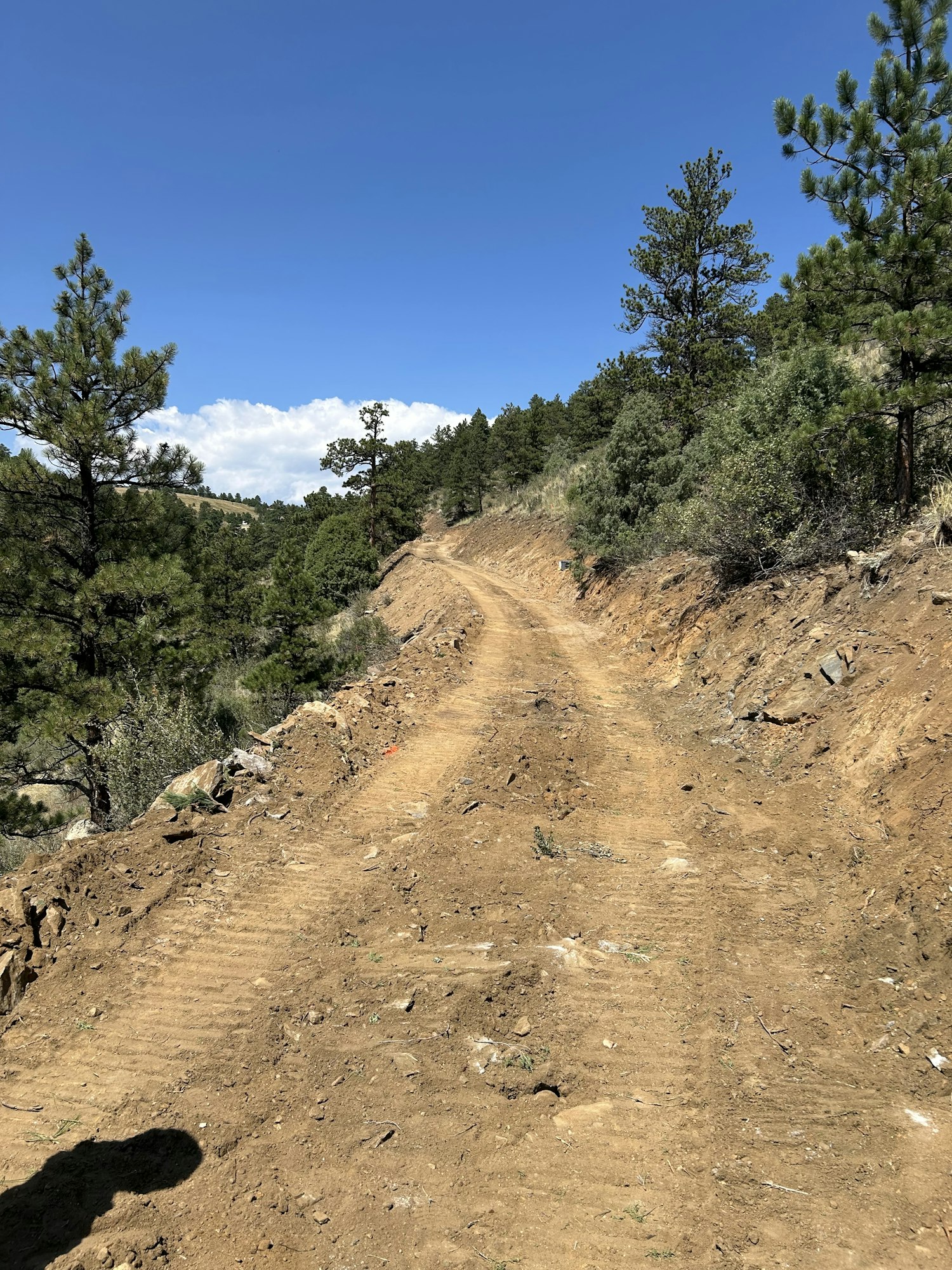 Dirt path surrounded by trees and vegetation under a clear blue sky.