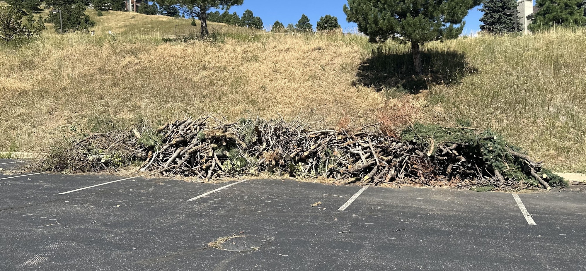 Slash pile from slash collection event