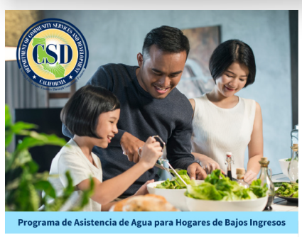 Family, preparing, meal, kitchen, food