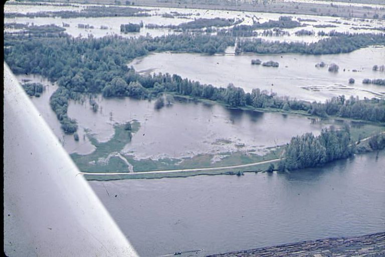Flooded landscape with trees and waterlogged fields, viewed from above.