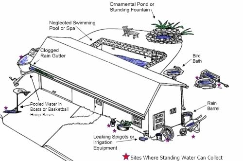 Illustration showing potential mosquito breeding sites: neglected pool, clogged gutter, bird bath, rain barrel, and more.