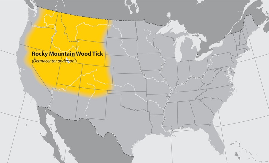 Map showing the distribution of the Rocky Mountain Wood Tick (Dermacentor andersoni) in the western United States, highlighted in yellow.