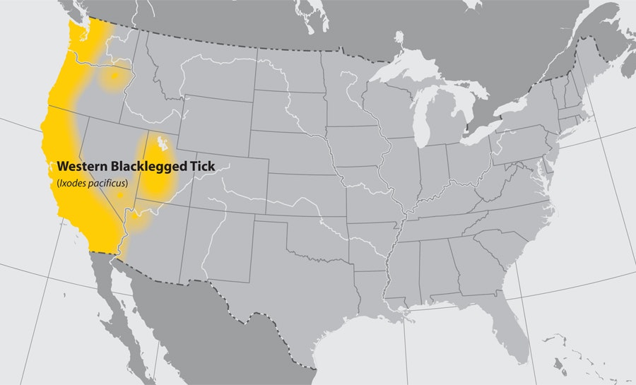 Map showing the distribution of the Western Blacklegged Tick (Ixodes pacificus) in parts of the western United States.