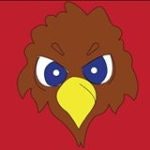 May contain: animal, beak, and bird
