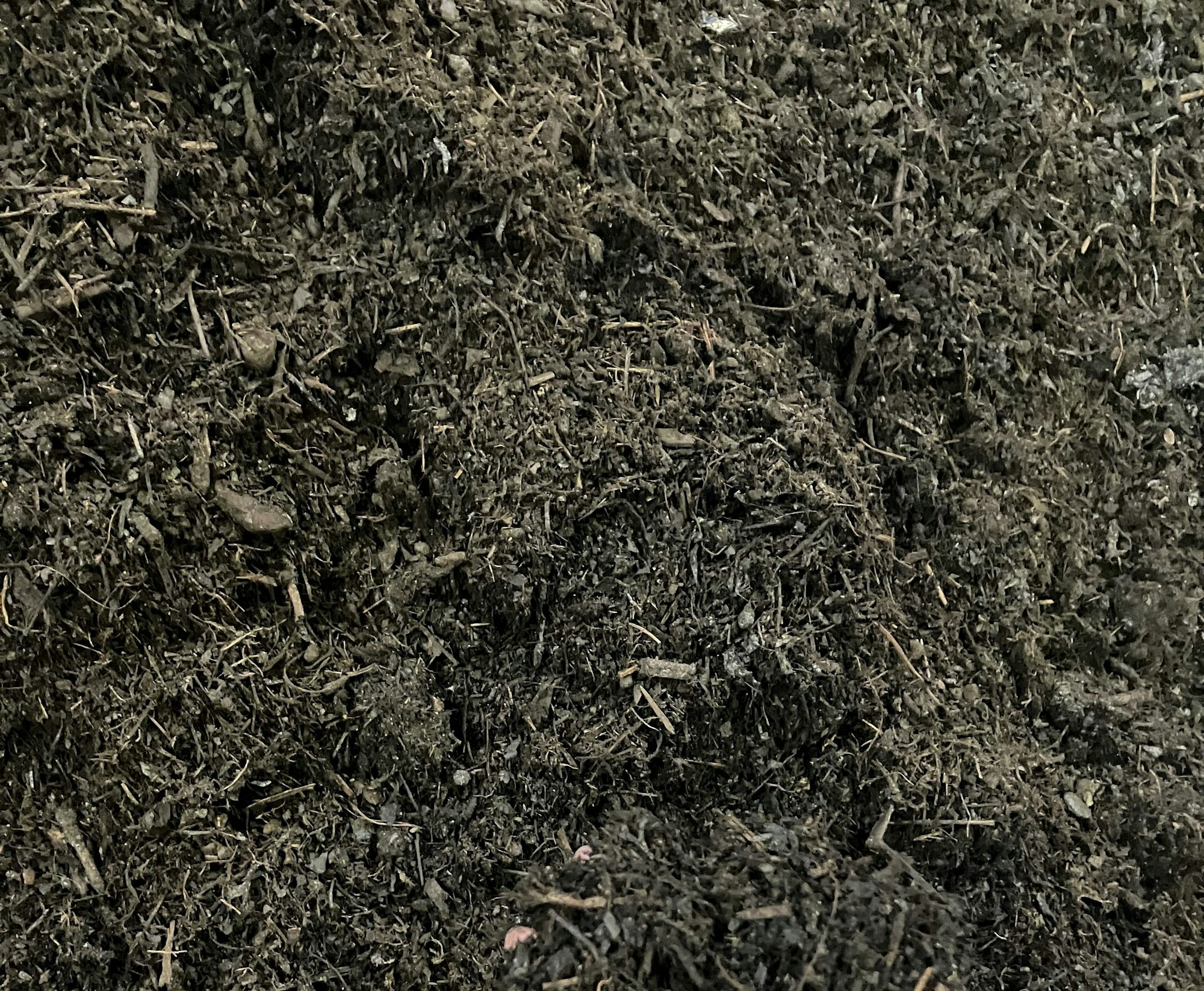 A close-up of dark, earthy compost or soil with small twigs and organic matter.
