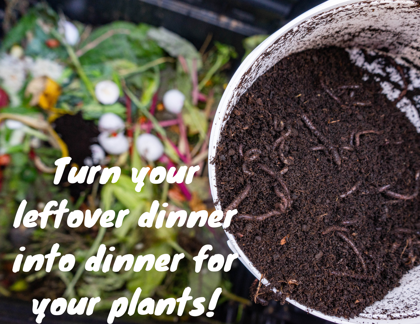 Bucket of compost with worms and text promoting composting food waste to feed plants.