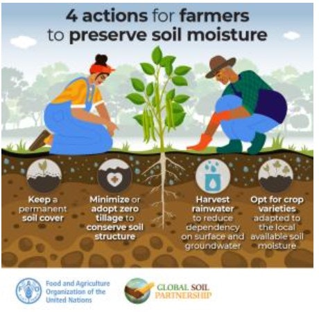 4 actions for preserving soil moisture: cover soil, minimize tillage, harvest rainwater, use local crop varieties.