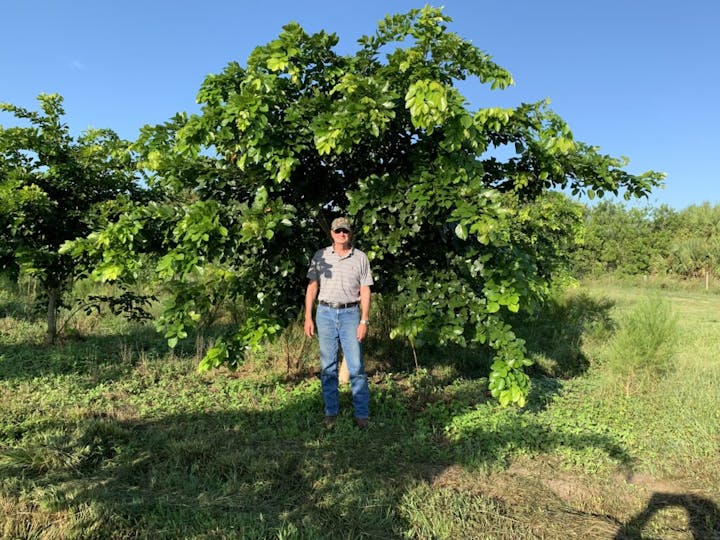 A man standing in front of a lush tree on a sunny day.
