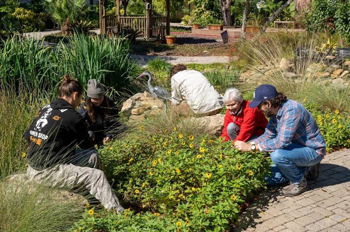 People tending to a garden with plants and flowers on a sunny day.