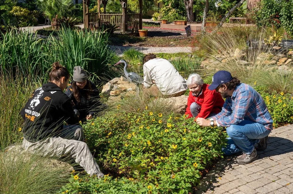 People tending to a garden with plants and flowers on a sunny day.