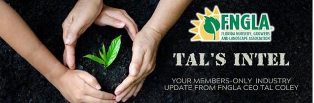 Hands framing a sprout in soil, with logos and text for FNGLA and "TAL's INTEL" update.