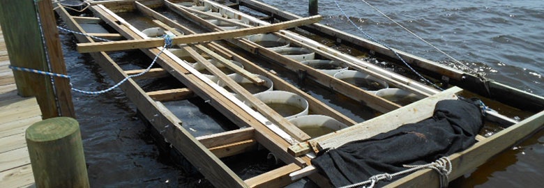 A homemade pontoon-like wooden structure floating on water, with white barrels underneath for buoyancy.