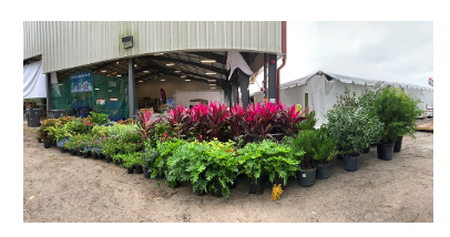 May contain: indoors, interior design, garden, nature, outdoors, plant, potted plant, jar, planter, pottery, vase, gardening, backyard, yard, vegetation, and grass