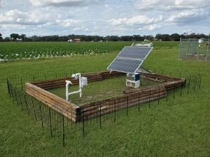 Solar panel setup in a field connected to equipment within a fenced area.