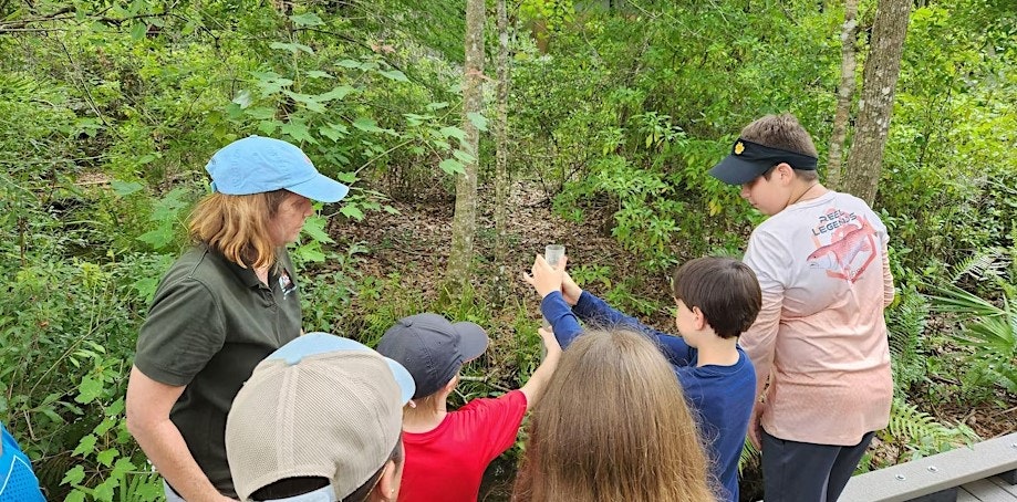 A group of people observing and photographing nature in a forest setting, with greenery and trees around them.