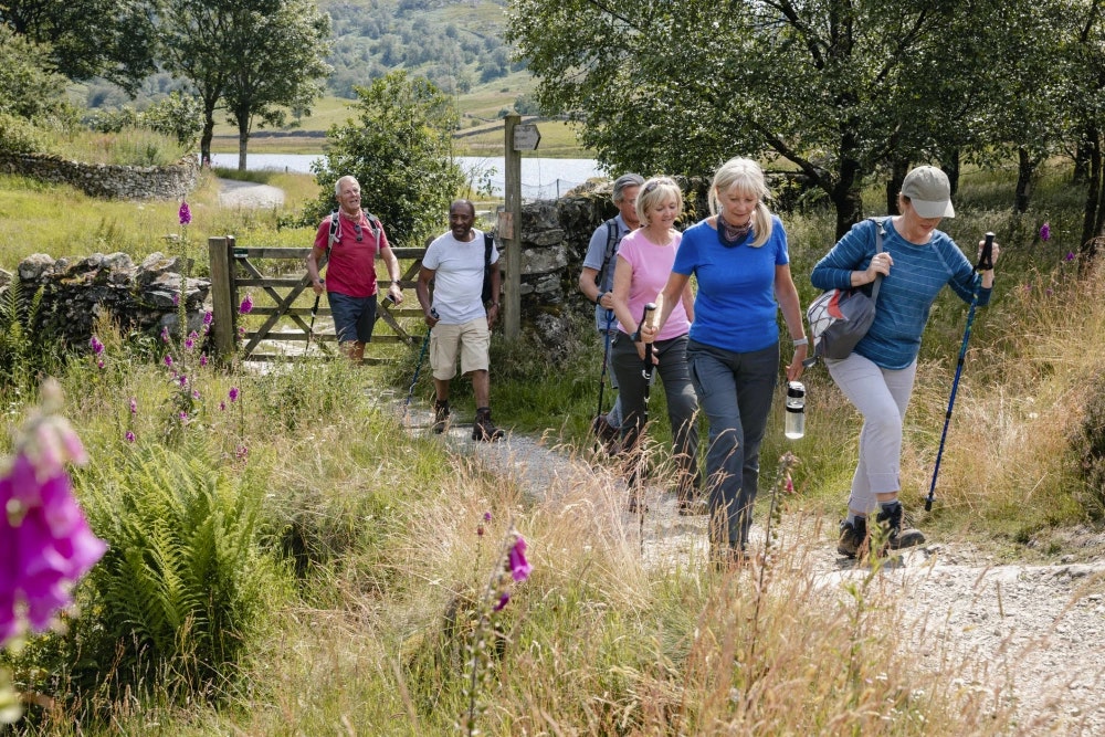 Group of hikers walking on a trail in a scenic green landscape with trees and purple flowers.