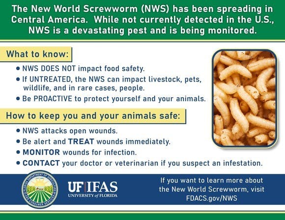 The image gives info on the New World Screwworm, its risks, and how to protect against it. It affects wounds but doesn't impact food safety.
