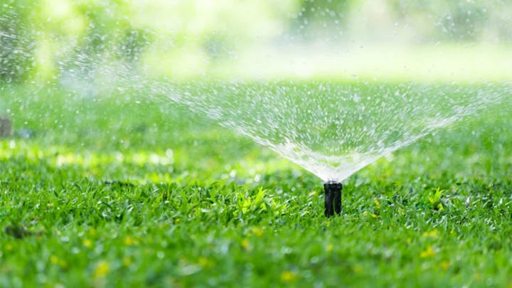 A sprinkler watering a green lawn.